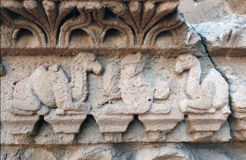 В храме богини Аллат нашли древнейшие изображения гибридных верблюдов