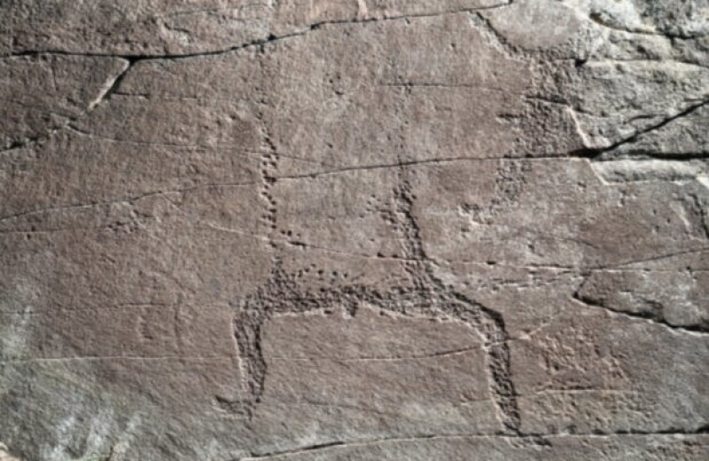 Археологи обнаружили на Енисее два наскальных изображения рожениц