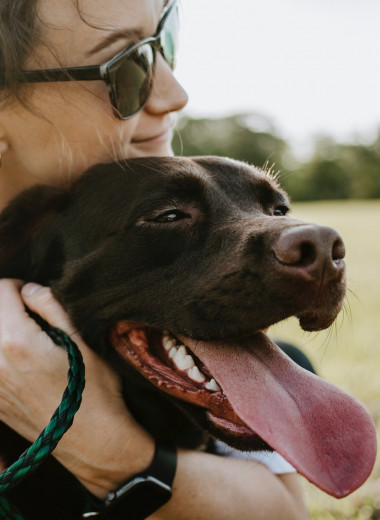 Результат любви несовместимых пород: 5 собак-метисов, которые рассмешат вас своей внешностью