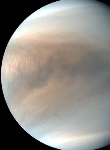 Динозавр космонавта не съест: как в СССР узнали, какая Венера на самом деле