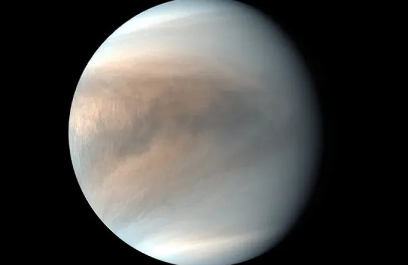 Динозавр космонавта не съест: как в СССР узнали, какая Венера на самом деле