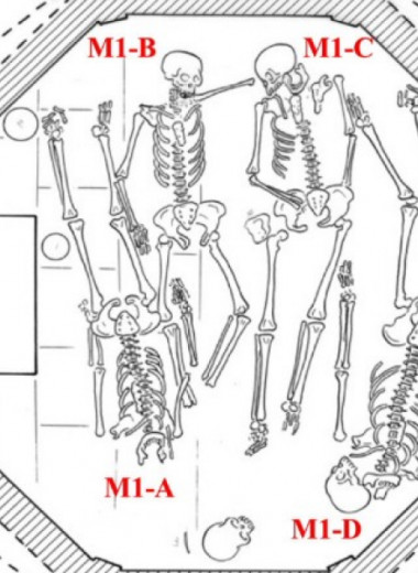 Генетики обнаружили родственников в раскопанной в Шаньси средневековой гробнице