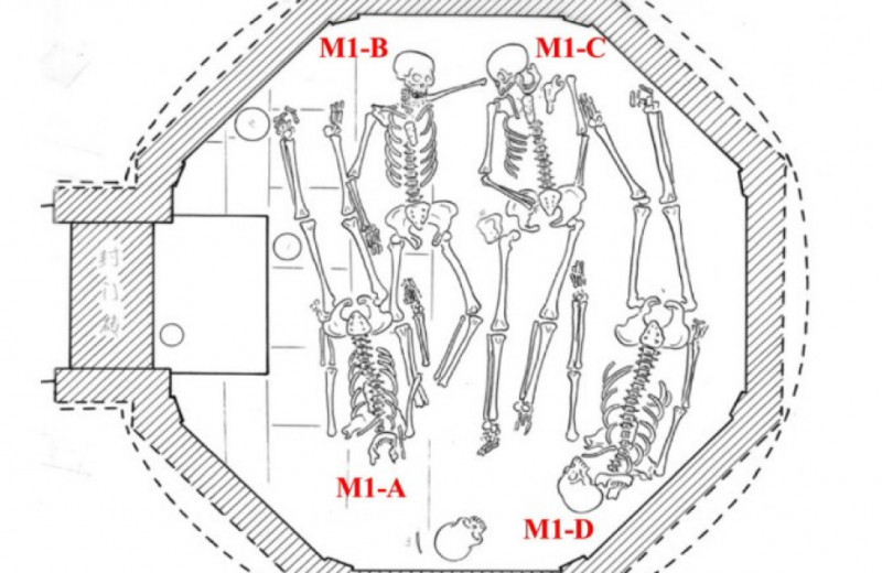 Генетики обнаружили родственников в раскопанной в Шаньси средневековой гробнице