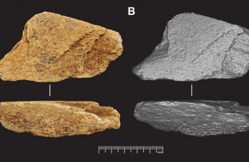 В Британии обнаружили древнейшее в Европе орудие из слоновой кости