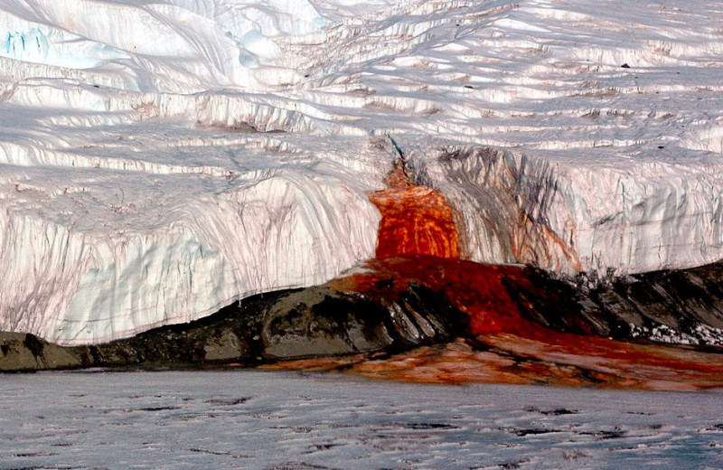 Кровавый водопад в Антарктиде и еще 5 удивительных загадок, разгаданных современной наукой