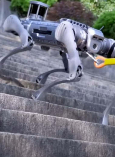 Китайская робособака Unitree B2 удержала равновесие на лестнице и разогналась до шести метров в секунду