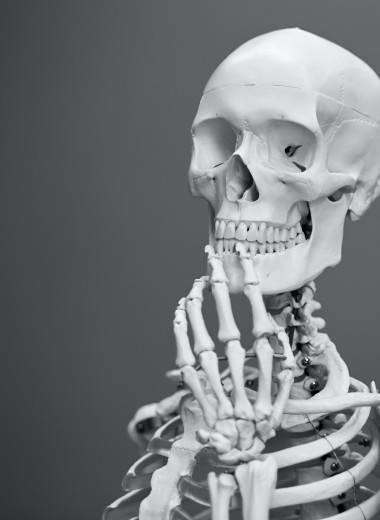 Я теряю кости: как бороться с опасным заболеванием, которое разрушает скелет
