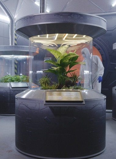 Цианобактерии сделали марсианскую почву плодоносной