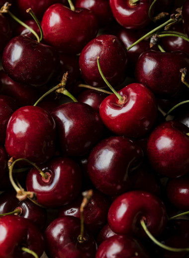 Самая вкусная летняя ягода: все, что вы должны знать о черешне