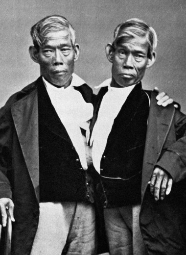 Первые в мире сиамские близнецы, у которых на двоих был 21 ребенок: как они жили и работали