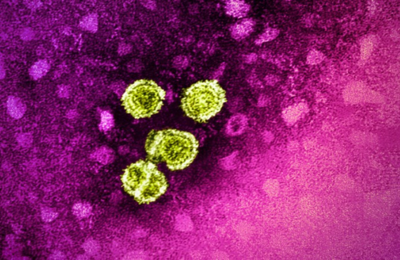 ВОЗ сообщила о 3500 смертях от вирусных гепатитов в мире ежедневно