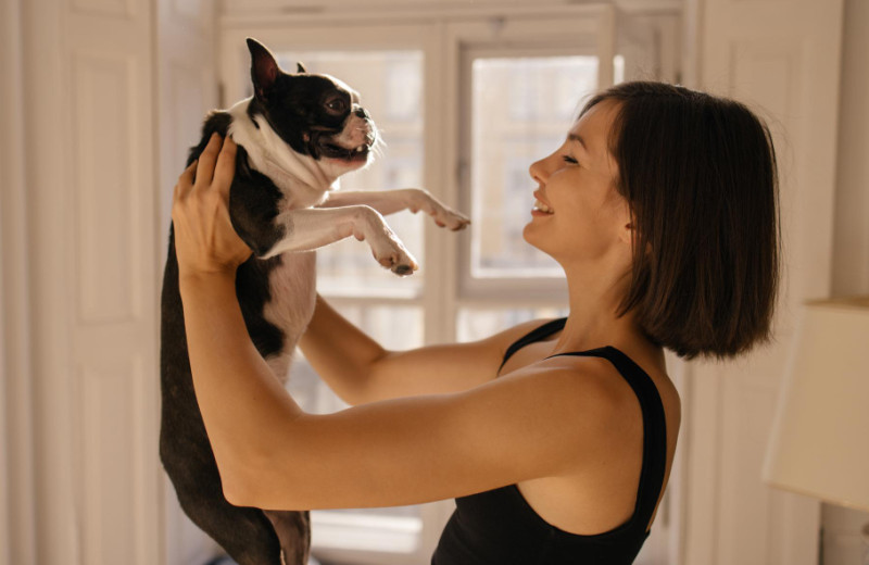 Как понять, что хочет сказать ваша собака