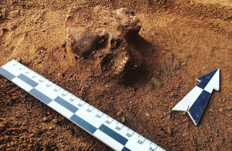 Археологи нашли в Гнездове подтверждение письменных свидетельств о погребальном обряде русов