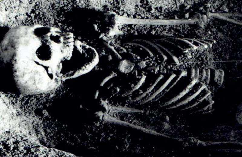 Польские археологи обнаружили пещерное захоронение девочки с головами зябликов во рту