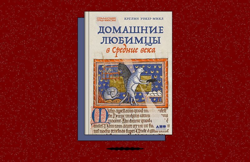 «Домашние любимцы в Средние века»