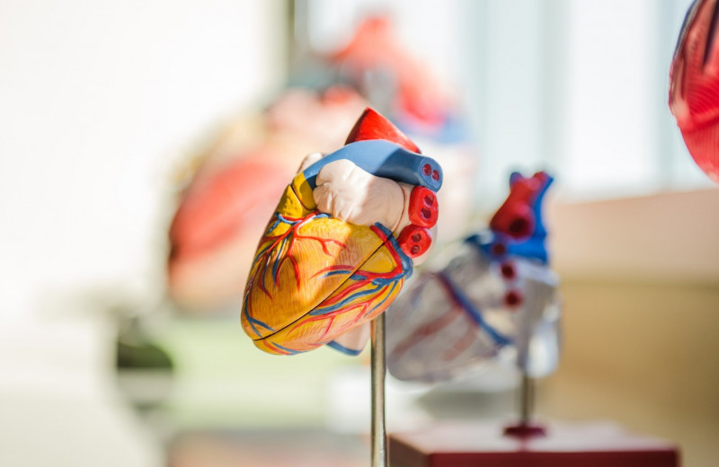 6 удивительных способов улучшить здоровье сердца: что говорят кардиологи