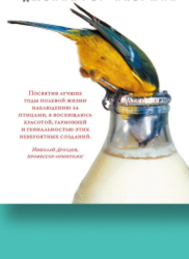 По взмаху страницы: 5 книг о наблюдении за птицами