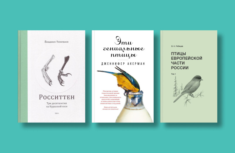 По взмаху страницы: 5 книг о наблюдении за птицами