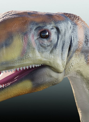 Найден первый гренландский динозавр