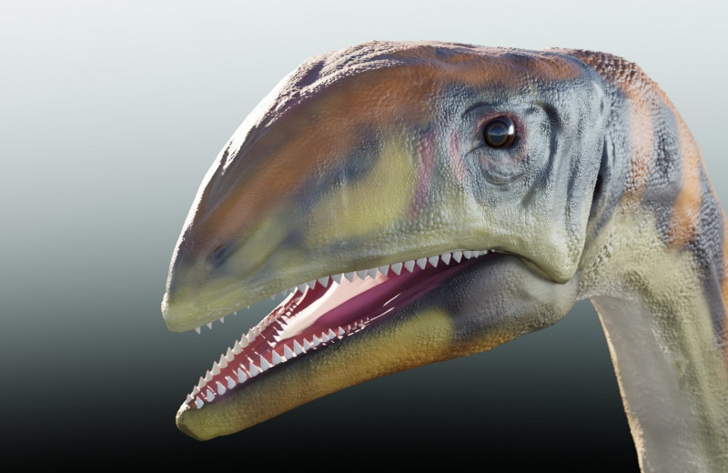 Найден первый гренландский динозавр