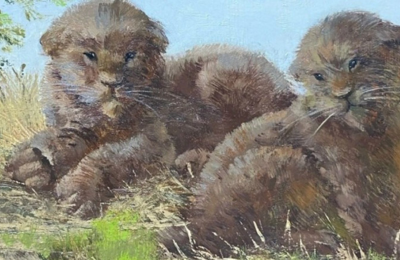 Сибирские саблезубые кошки укрылись в редколесье