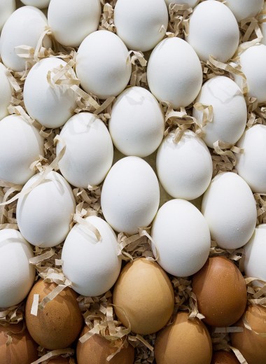 Генетически модифицированные яйца будут лечить людей