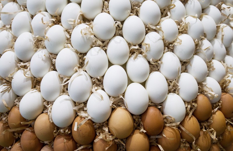 Генетически модифицированные яйца будут лечить людей