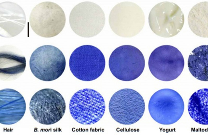 Химики получили нетоксичный синий краситель из свекольного сока