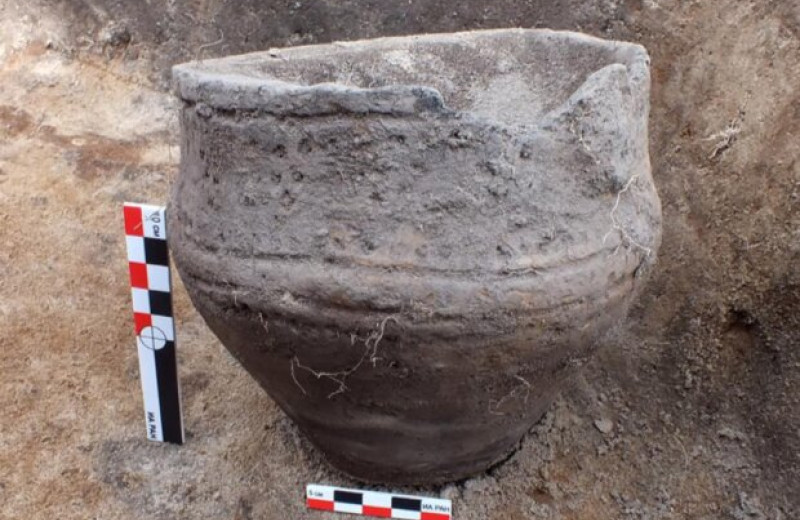 Археологи обнаружили два поселения эпохи бронзы в Нижегородской области