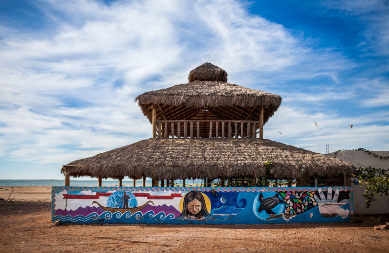 «Я хочу принести пользу своему народу»: как живут индейцы Сери в Мексике