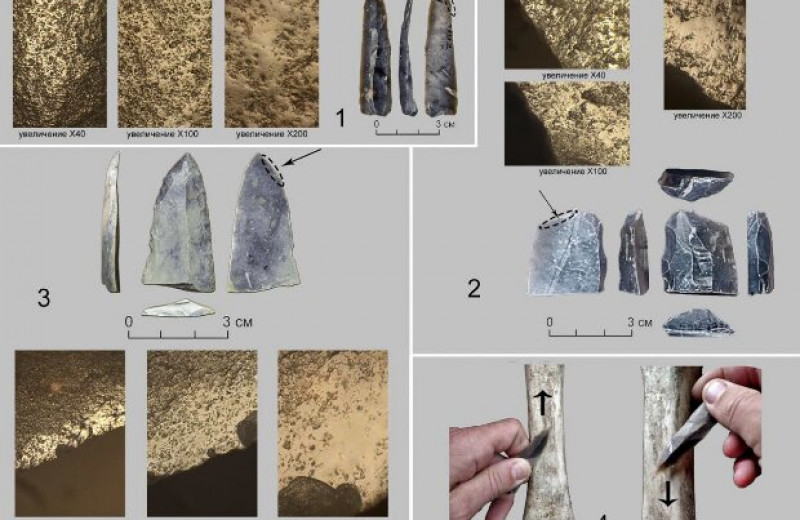 Трасологи назвали каменные орудия из Костенок-9 древними стамесками