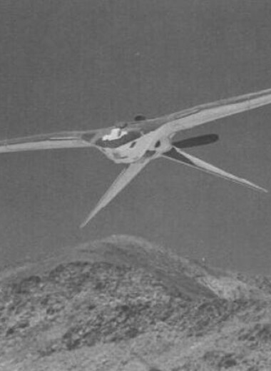 ЦРУ рассекретило проект шпионских дронов-птиц