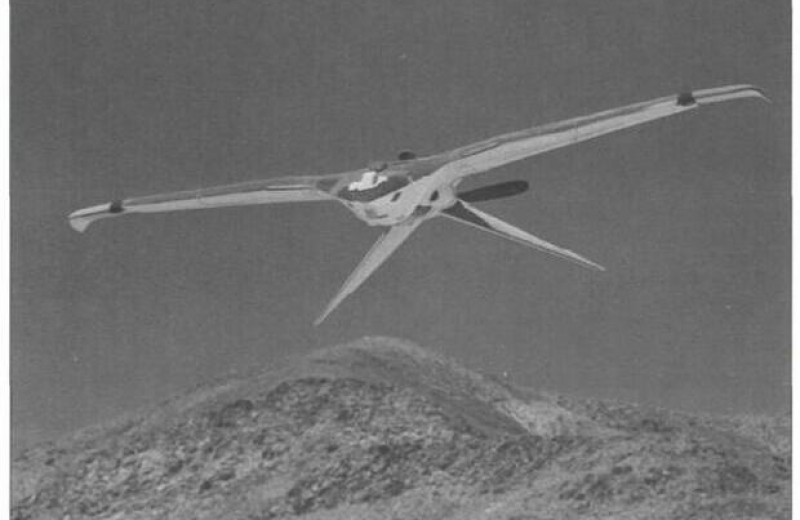 ЦРУ рассекретило проект шпионских дронов-птиц