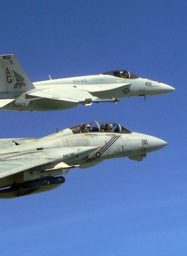 Зачем военно-морскому флоту США понадобились самолеты F-14... И почему их вскоре списали