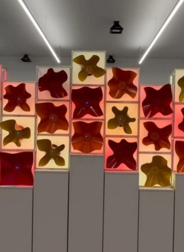 Робоцветы поддержали комфортный уровень освещения в здании