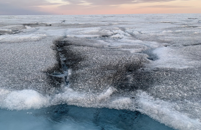 Ученые обнаружили вирусы, заражающие арктические льды