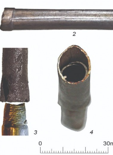 Скипетры из Эрмитажа оказались древнейшими трубочками для питья пива