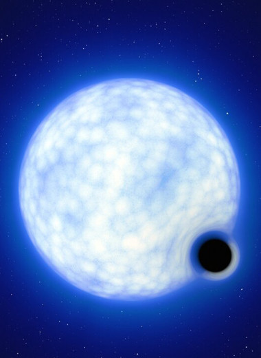 Укус Тарантула: как звезда может провалиться в черную дыру
