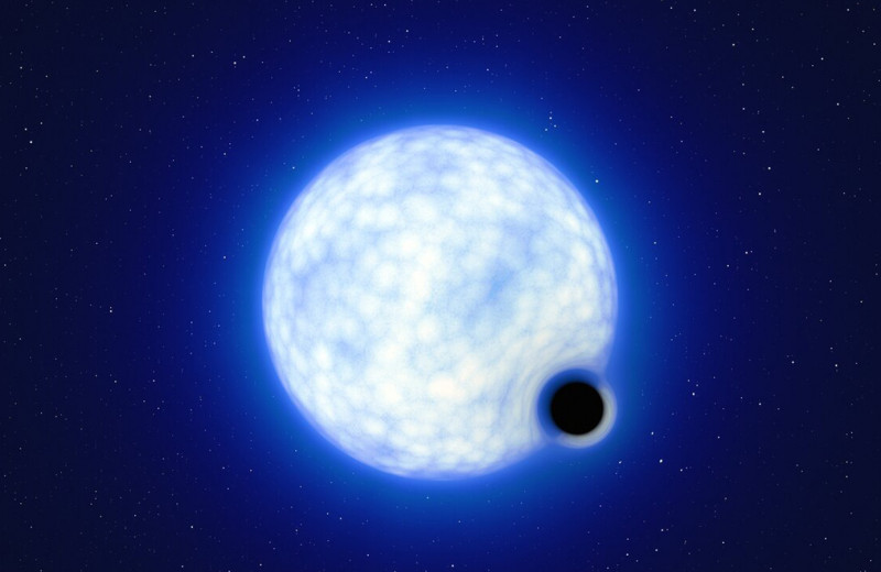 Укус Тарантула: как звезда может провалиться в черную дыру