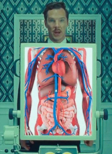 5 совсем бесполезных внутренних органов, без которых можно обойтись