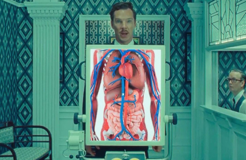 5 совсем бесполезных внутренних органов, без которых можно обойтись