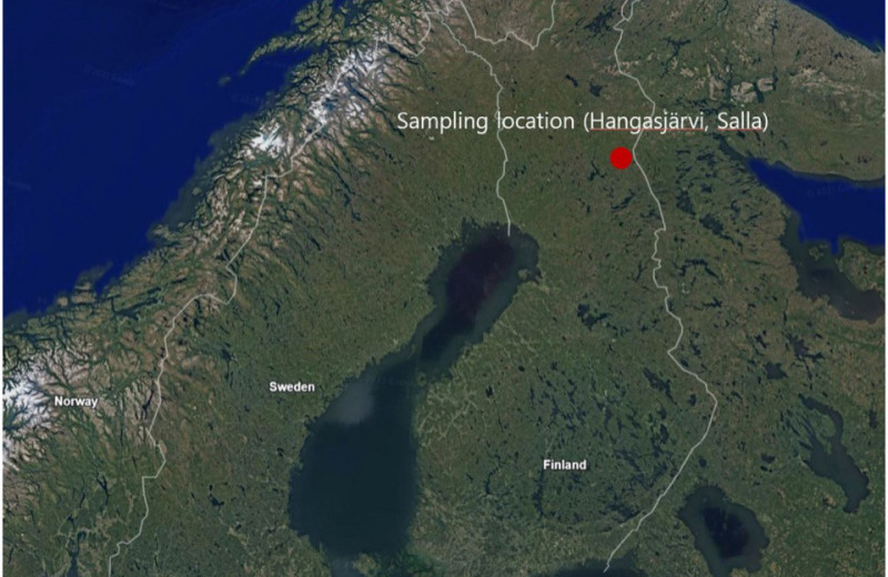 Событие Мияке VII века до нашей эры уточнили по финской древесине