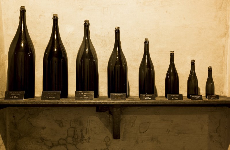 В Шампани с пропиской: как меняется мода на вина из региона