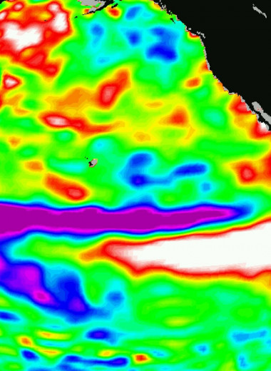 Эль-Ниньо может привести к распространению эпидемий, переносимых комарами