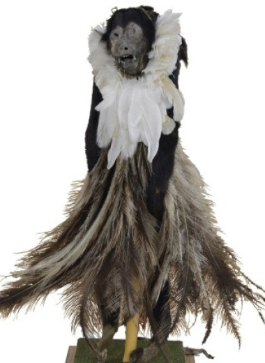 Индейцы нарядили мумию черного ревуна в перья 500 лет назад