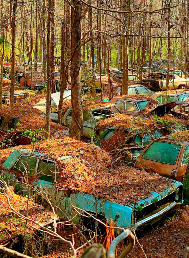 Гниющие миллионы: 6 загадочных автомобильных кладбищ
