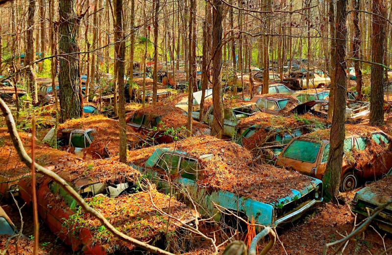 Гниющие миллионы: 6 загадочных автомобильных кладбищ