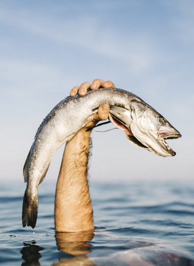 Легко: ловить рыбу голыми руками
