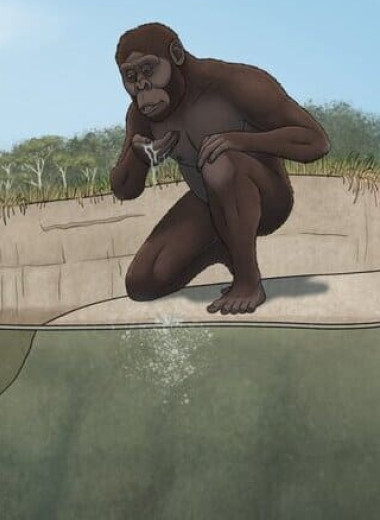 Плиоценового крокодила из Эфиопии назвали «охотником на Люси»