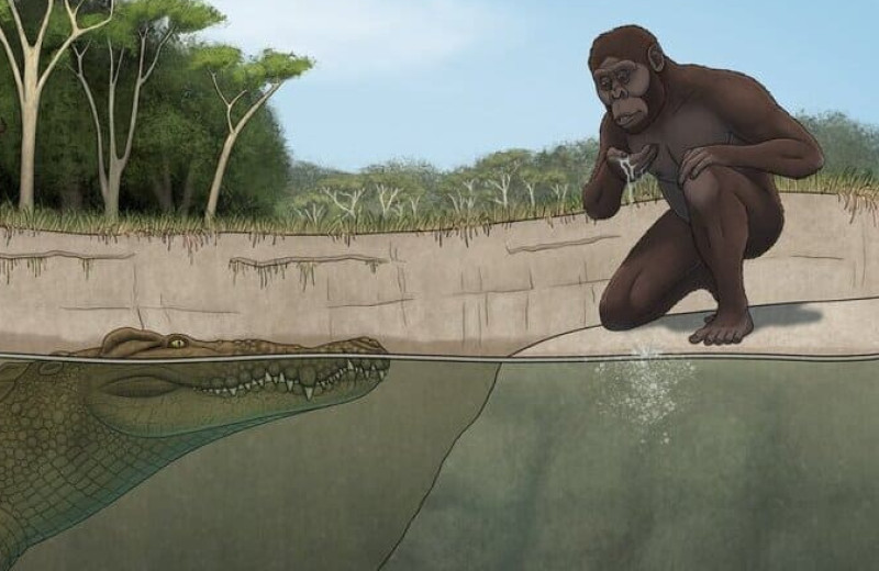 Плиоценового крокодила из Эфиопии назвали «охотником на Люси»